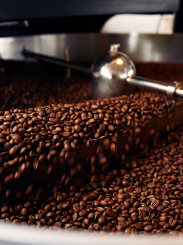 frischer Röstkaffee beim Abkühlen in der Mókuska Kaffeerösterei