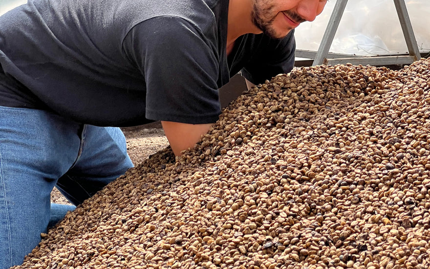 Don Ivan Filterkaffee und Planting Costa Rica